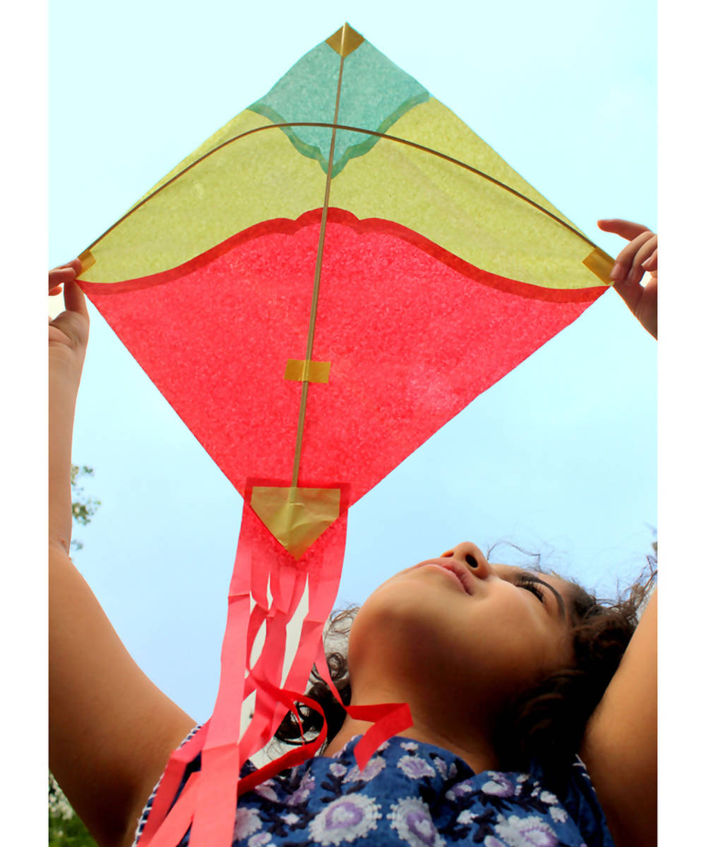 7,200+ Kite Festival Stock Photos, Pictures & Royalty-Free Images - iStock  | Kite festival washington, Kite festival india, International kite festival